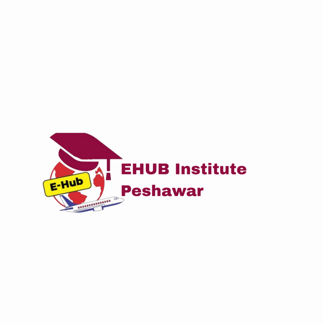 EHub Institute